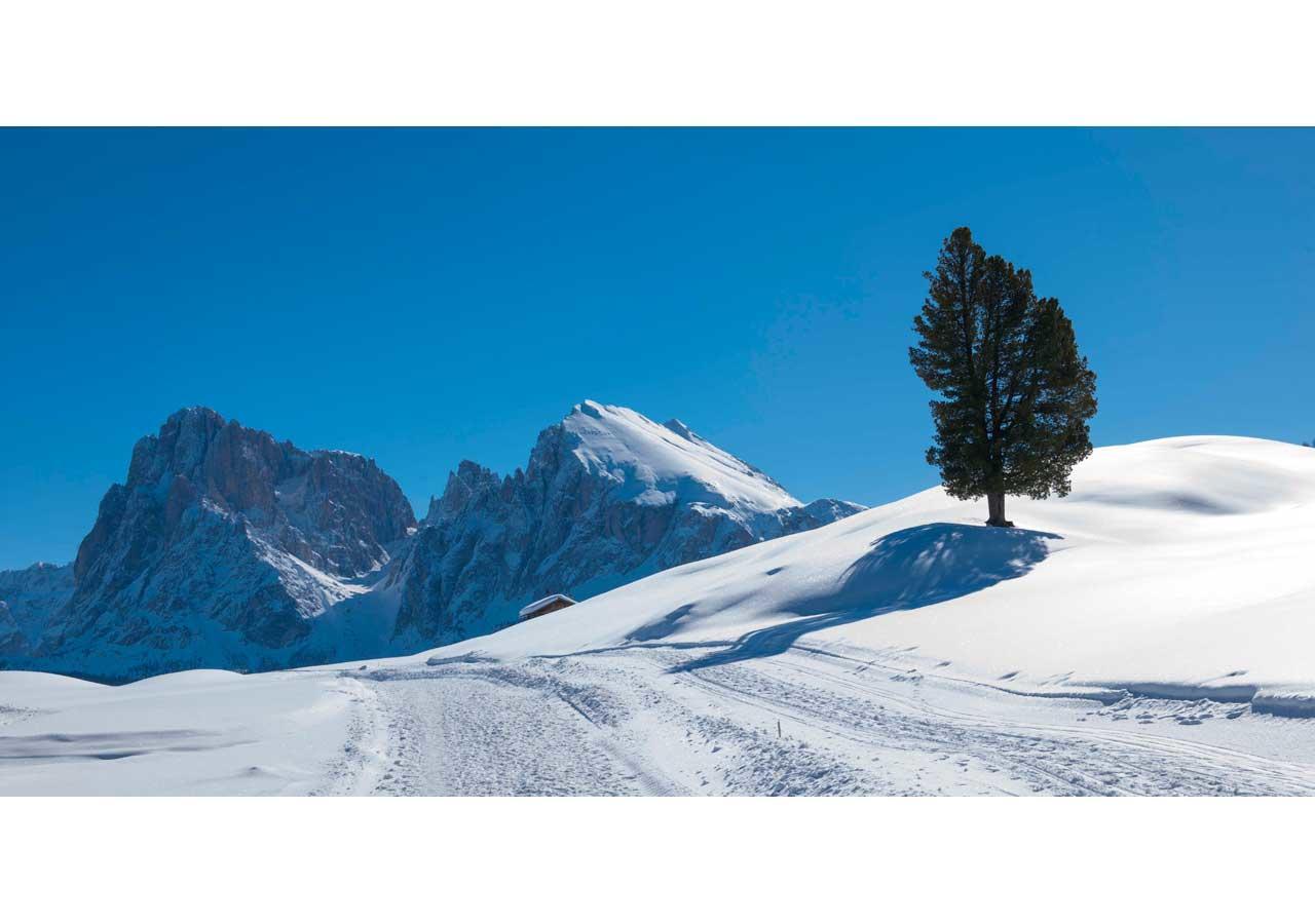 Seiser Alm Plaza Esterno foto